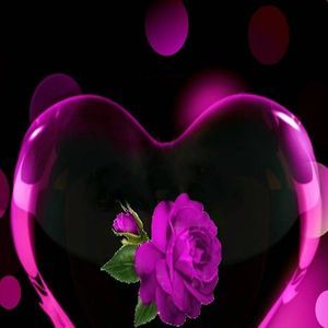 Meet your Posher, Marivel